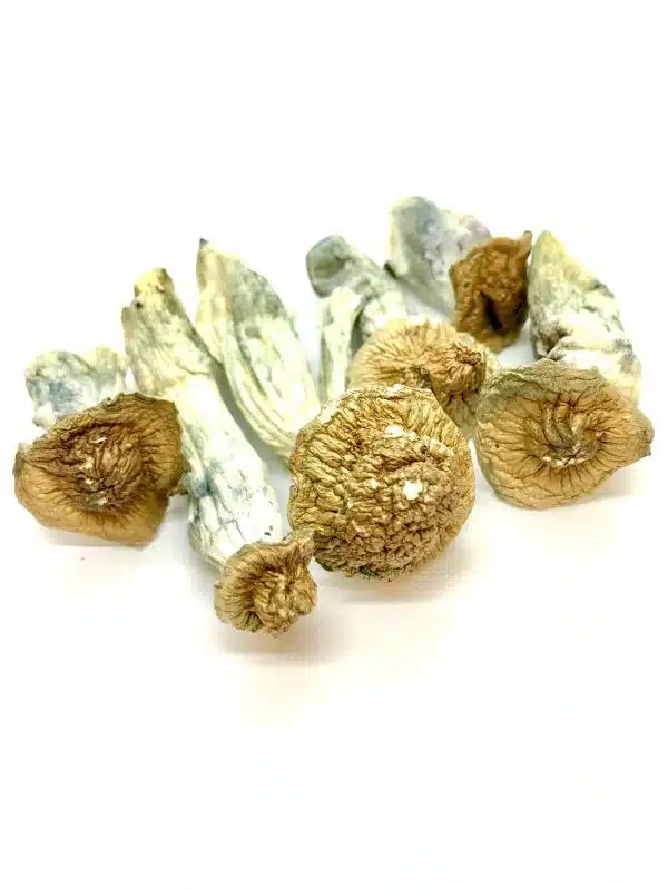 Gold Member Magic Mushroom For Sale Online